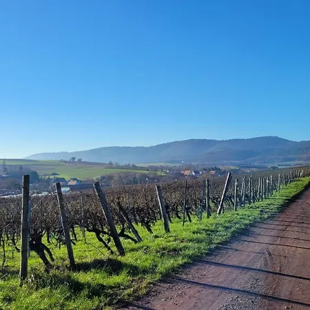 Romantik-home Nordelsass - Fuer Selbstversorger Apartament Oberhoffen-les-Wissembourg