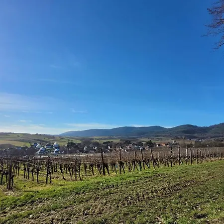 Romantik-home Nordelsass - Fuer Selbstversorger Apartament *